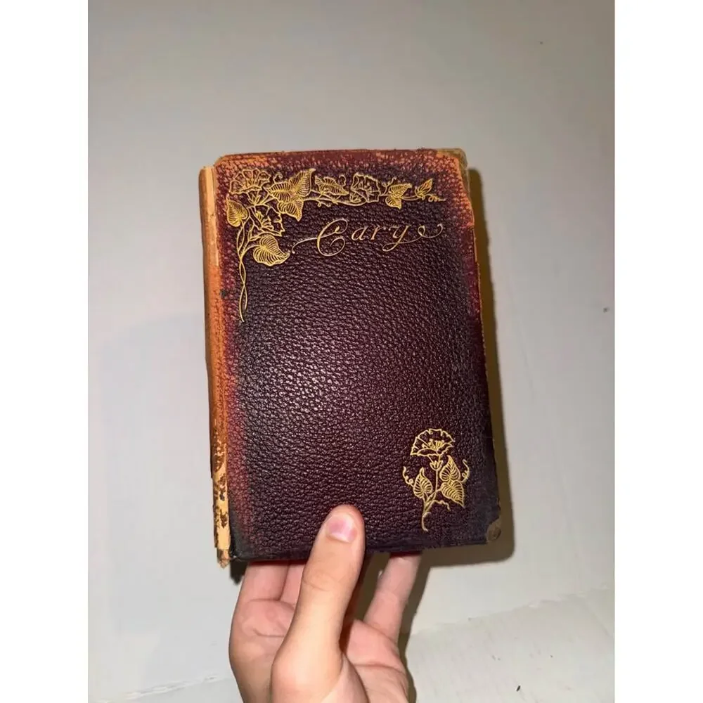 Poems book of Alice and Phoebe Cary (Leather)